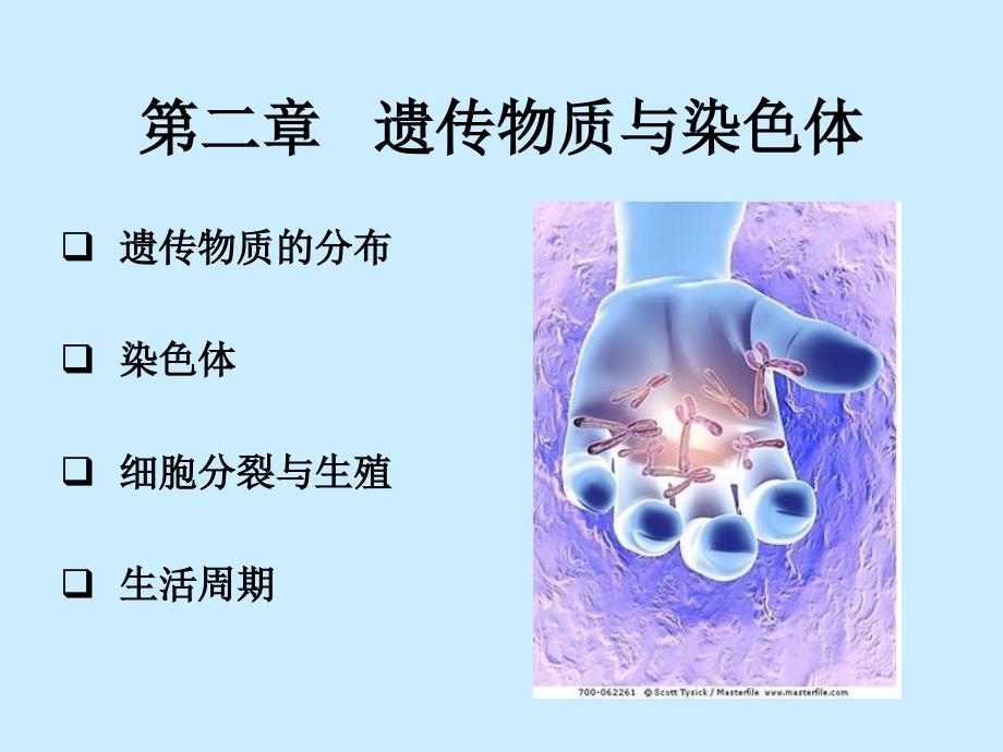 第二章第四节遗传物质与染色体_第1页