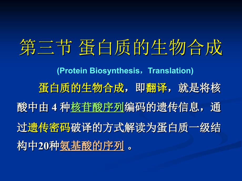 蛋白质的生物合成(翻译).ppt_第1页