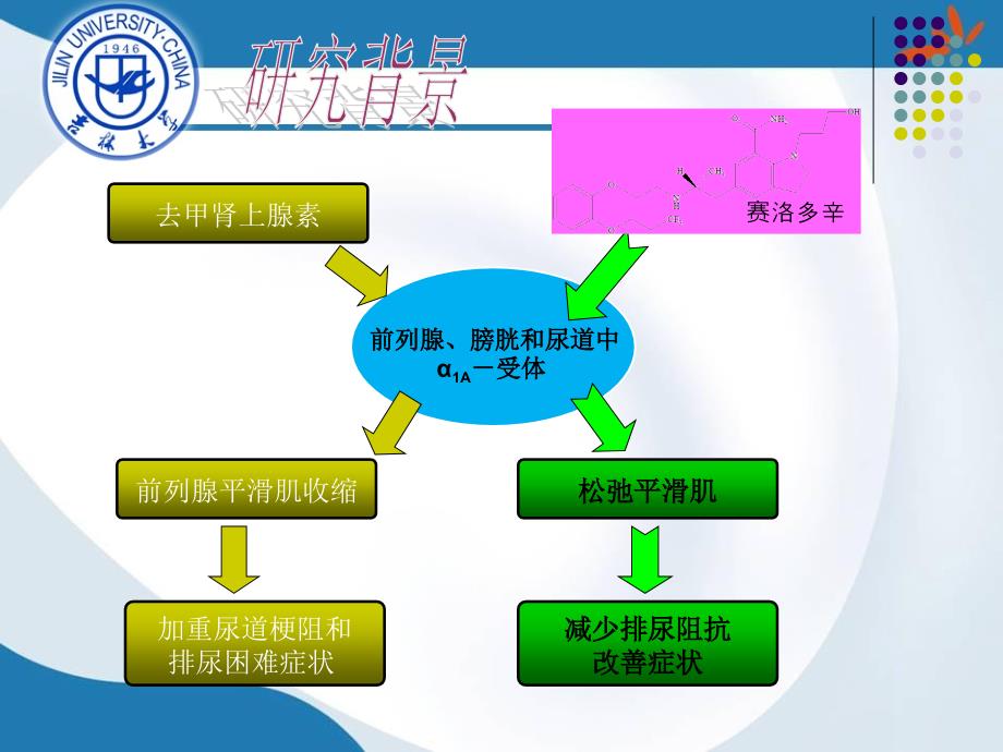 赛洛多辛本科毕业论文_第4页