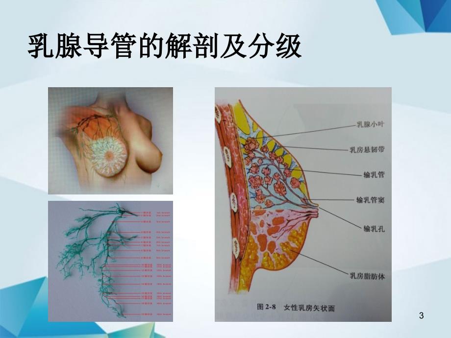 乳头溢液的诊断及处理PPT参考课件_第3页