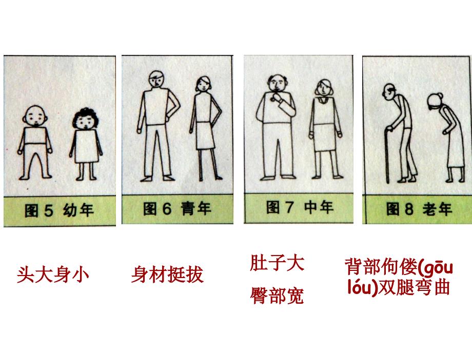 人教版科学四下我们的生长变化课件1_第4页