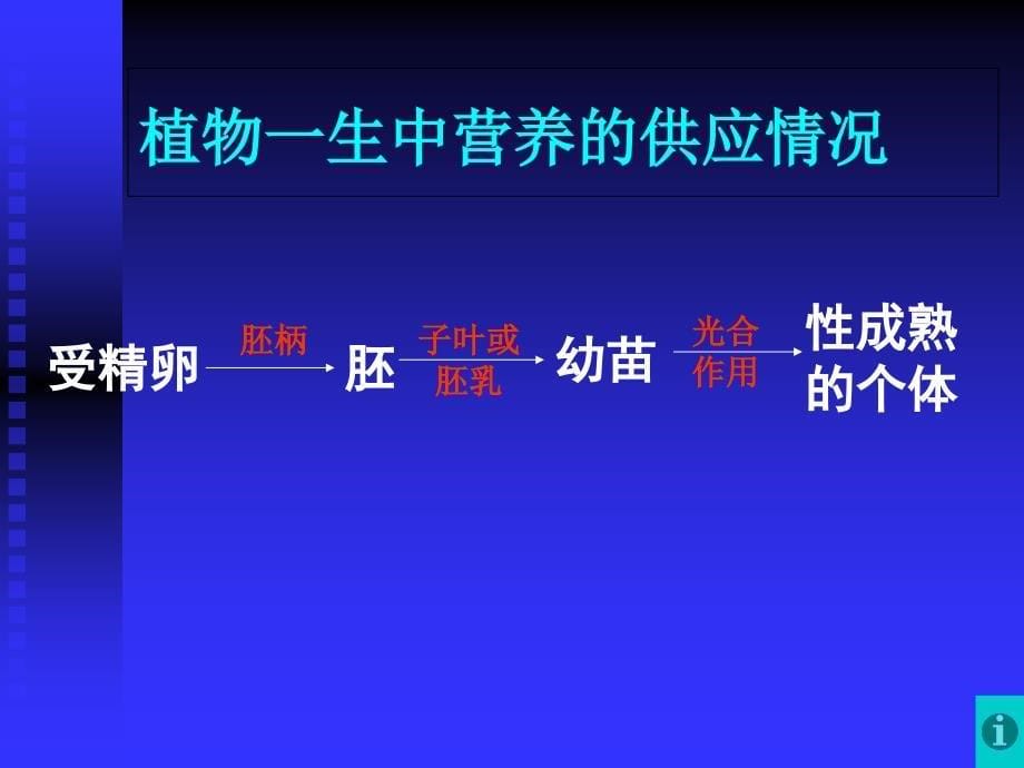 高等动物的个体发育课件_第5页