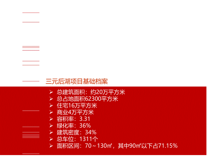 某后湖项目推广提案bytl_第4页