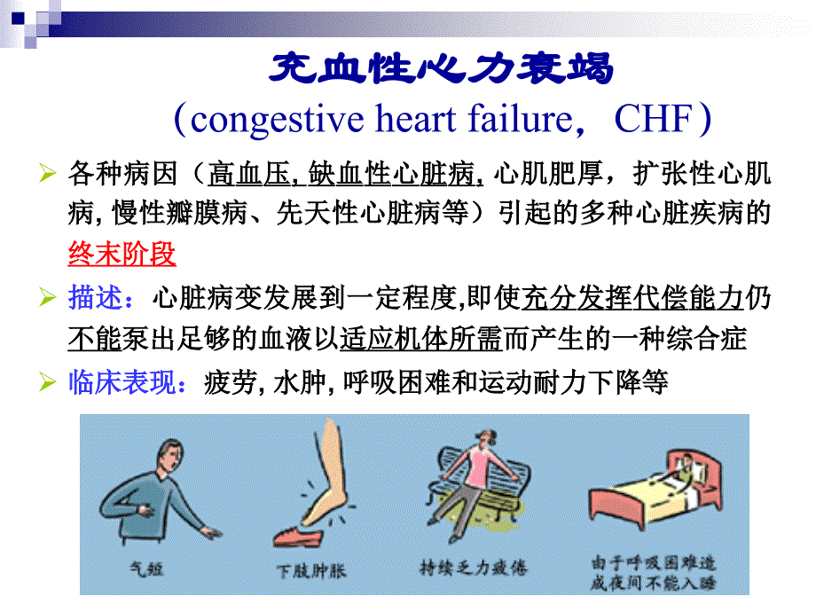 药理学教学课件：治疗充血性心力衰竭药_第3页