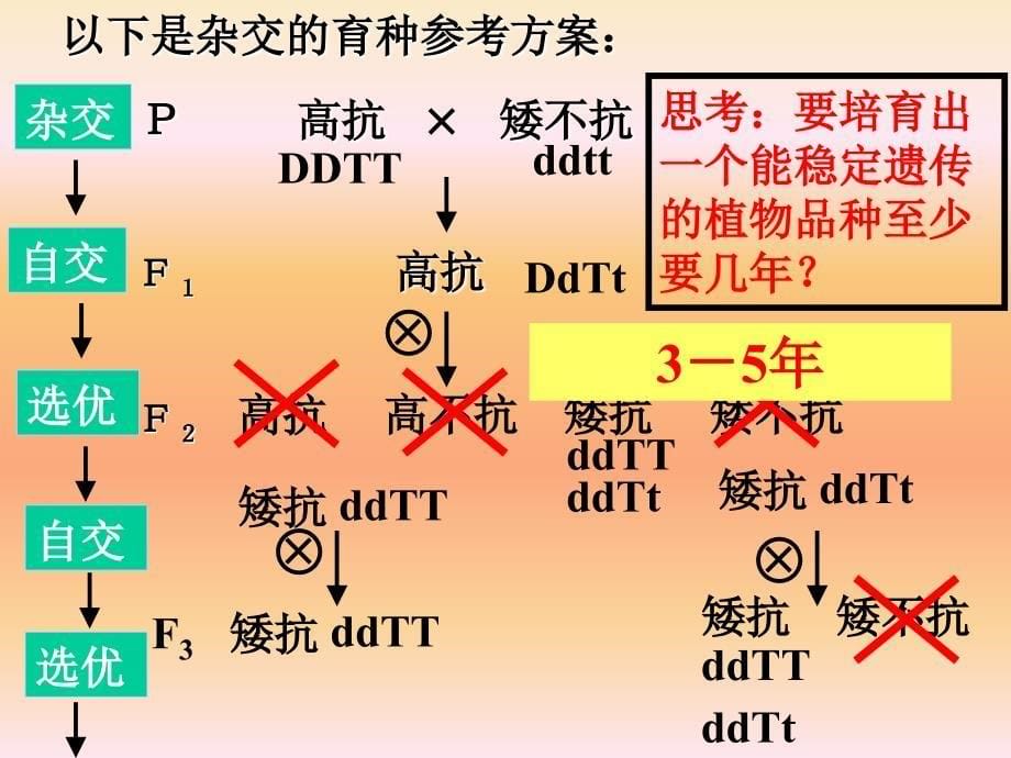 《杂交诱变育种》PPT课件_第5页