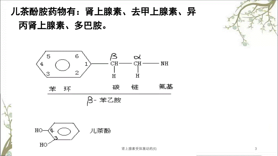 肾上腺素受体激动药(6)_第3页