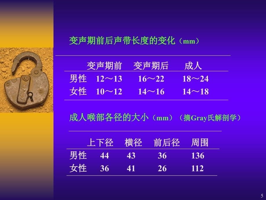 优质医学喉的临床应用解剖学和生理学_第5页