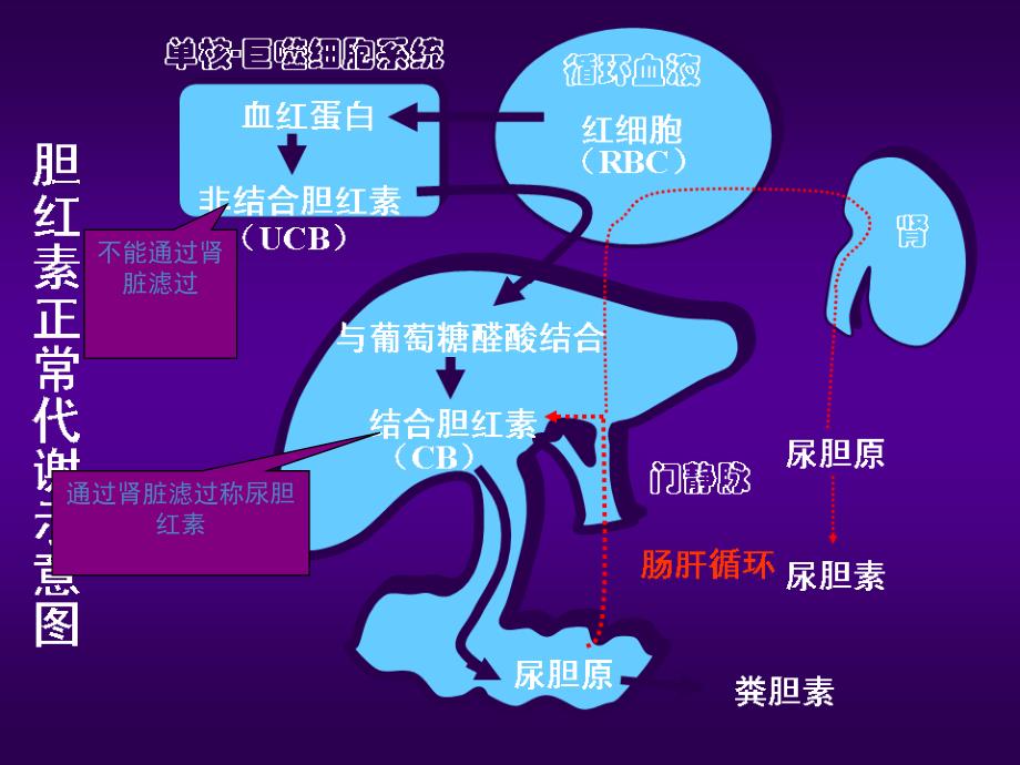 五月业务讲座.PPT课件_第4页