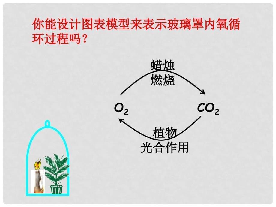 八年级科学下册 3.7《自然界中的氧循环和碳循环》课件2 浙教版_第5页