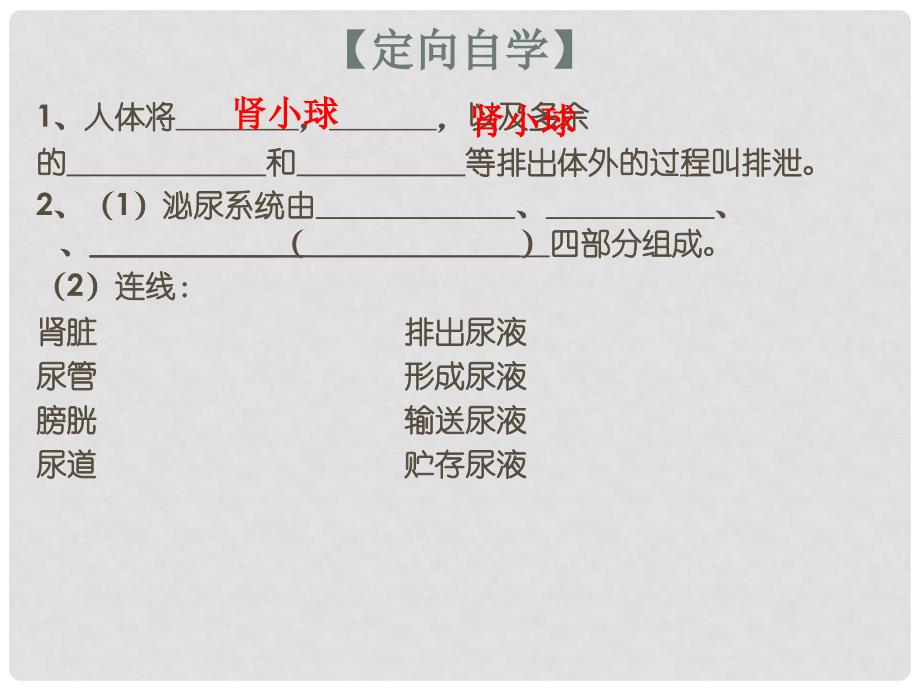 湖南省张家界市桑植县七年级生物下册 第四单元 第五章 人体内废物的排出课件 （新版）新人教版_第4页