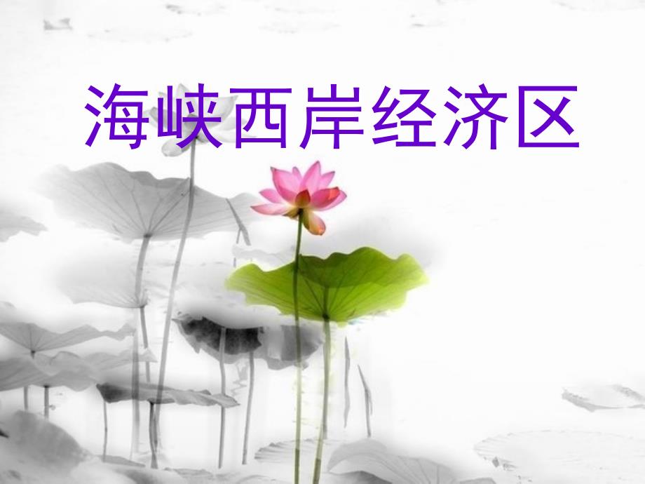 《海峡西岸经济区》PPT课件.ppt_第1页