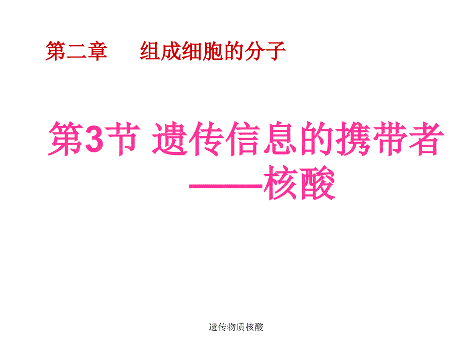 遗传物质核酸课件_第1页