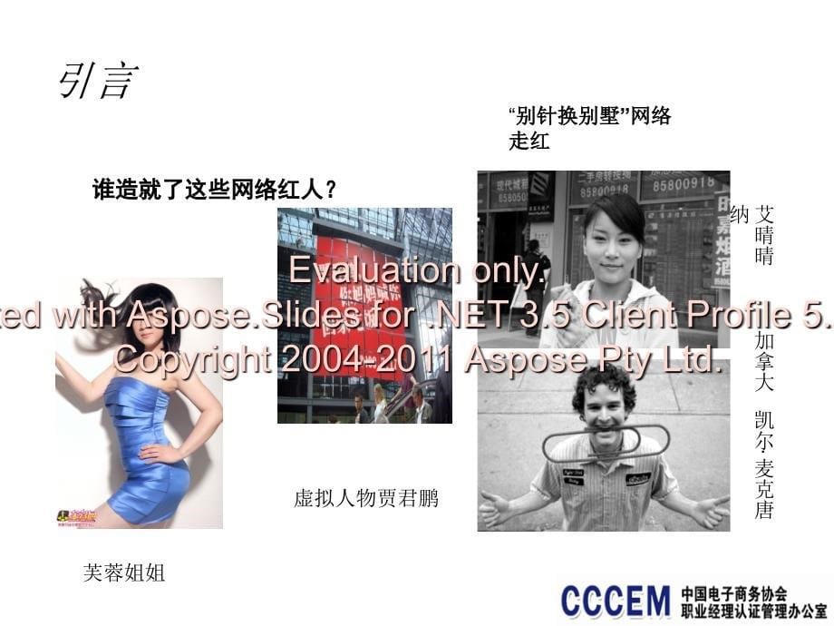 软文营销电子商职务业经理人软文营销教程.ppt_第5页