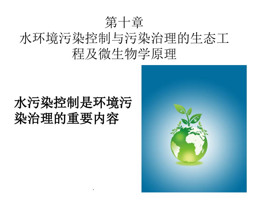 第十章水环境污染控制与治理的生态工程及微生物学原理_第1页