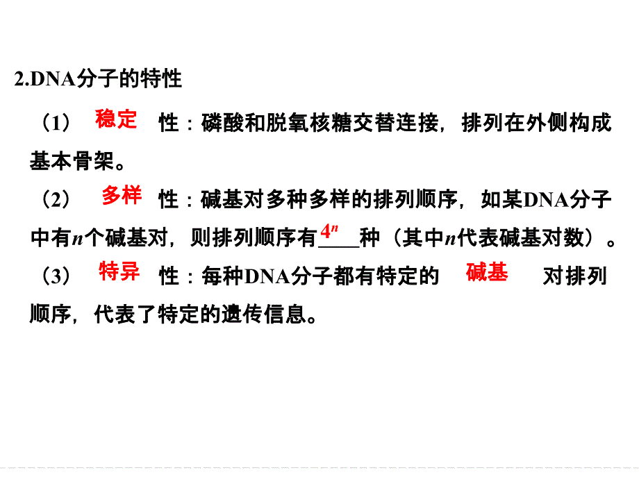 一轮复习DNA的结构、复制及基因的本质课件_第3页