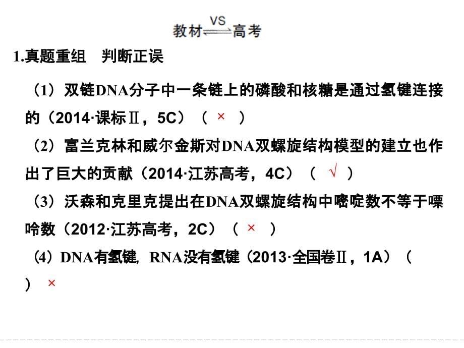 一轮复习DNA的结构、复制及基因的本质课件_第5页