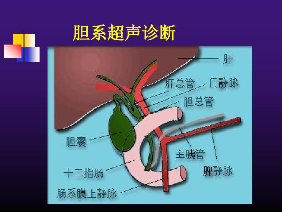 胆道系统疾病超声诊断_第2页