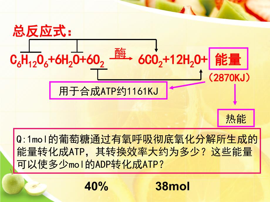 人教版高中生物必修一----ATP的主要来源——细胞呼吸_第4页