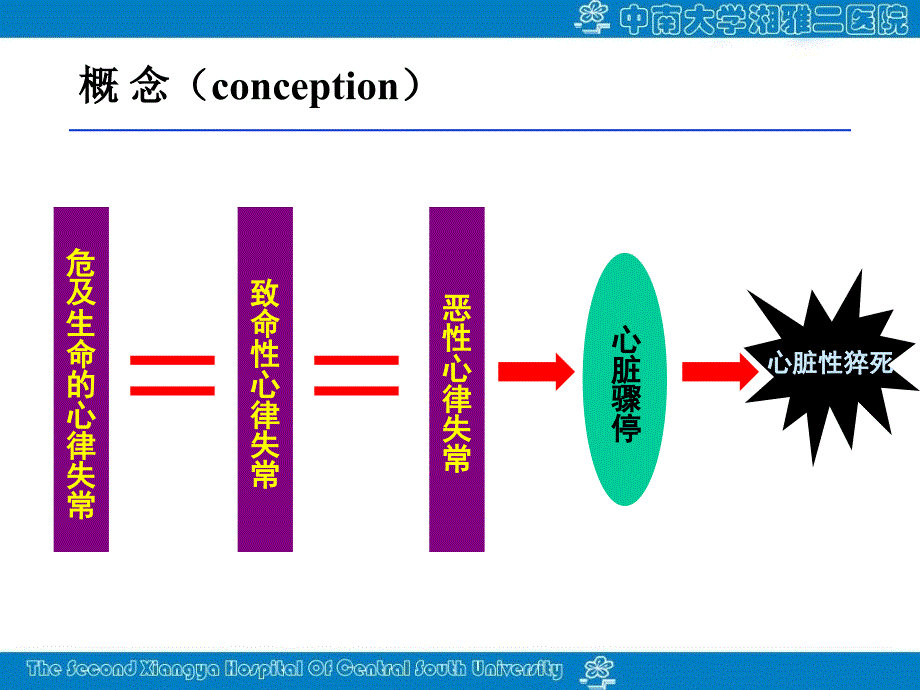 恶性心律失常的急诊处理_第4页