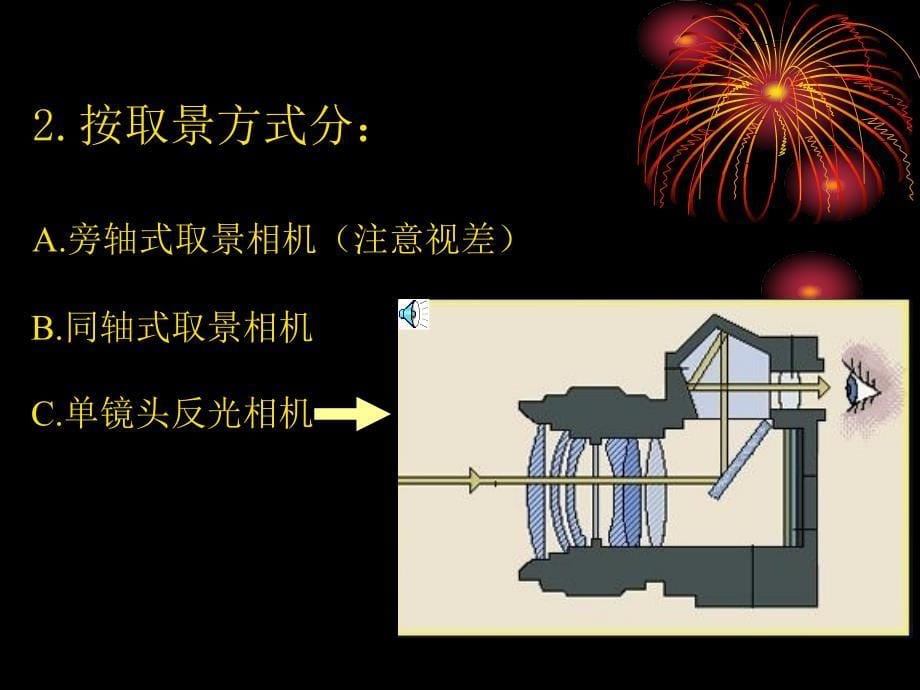 摄影的发展史_第5页