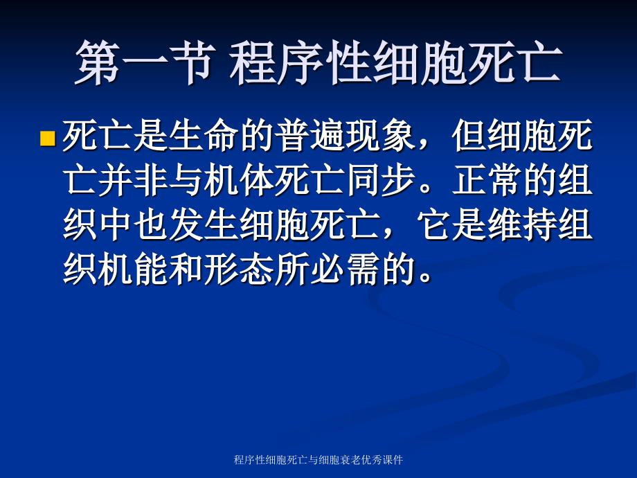 程序性细胞死亡与细胞衰老课件_第3页