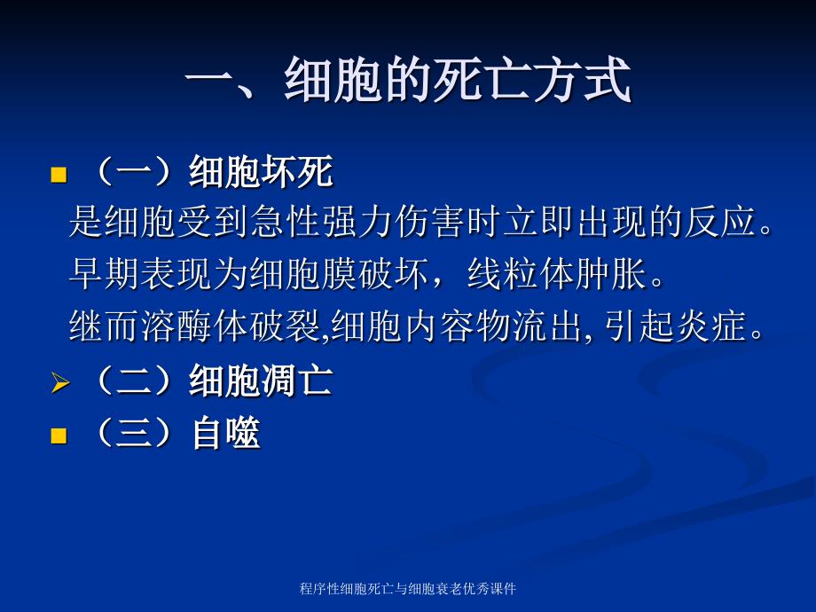 程序性细胞死亡与细胞衰老课件_第4页