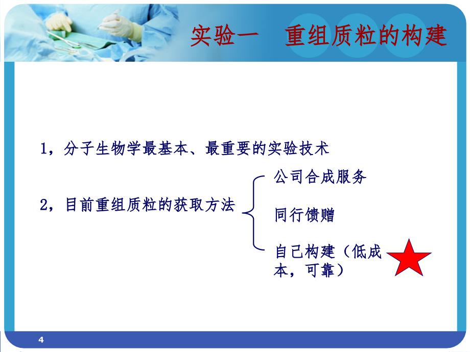 常见分子生物学实验方法PPT课件_第4页