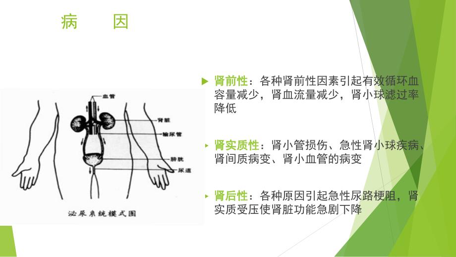 急性肾衰竭与crrt治ppt课件_第4页