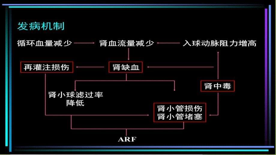 急性肾衰竭与crrt治ppt课件_第5页