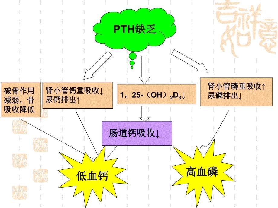 甲状旁腺功能减退-精美PPT.ppt_第5页