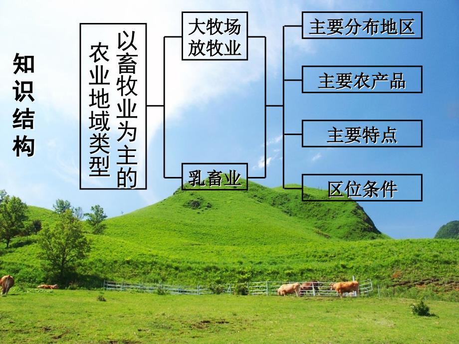 畜牧业为主的农业地域类型_第3页