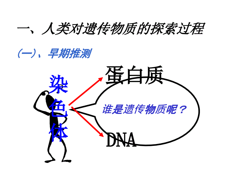 DAN是主要的遗传物质课件_第2页