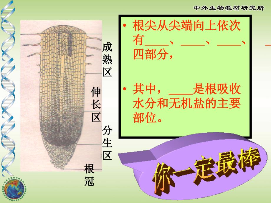 植物生长需要水和无机盐_第2页