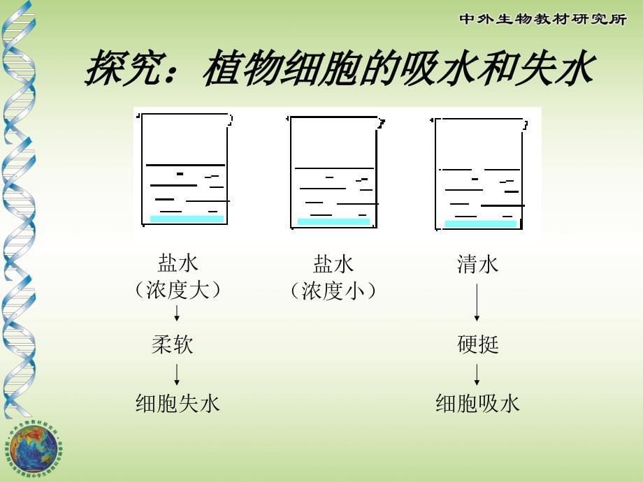 植物生长需要水和无机盐_第5页