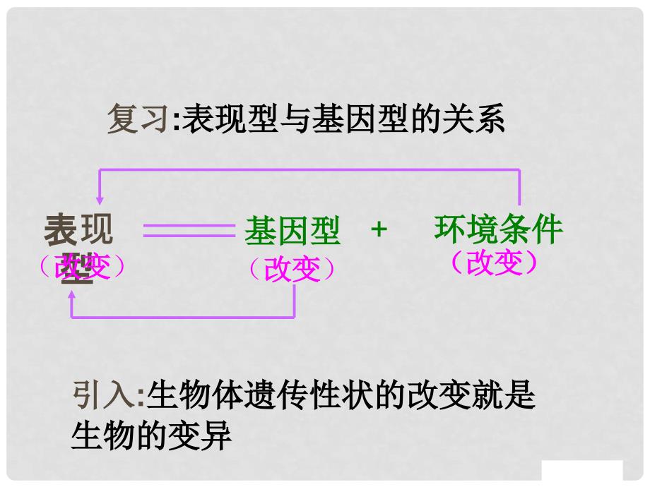 高中生物：基因突变和基因重组 备课课件（苏教版必修2）_第2页