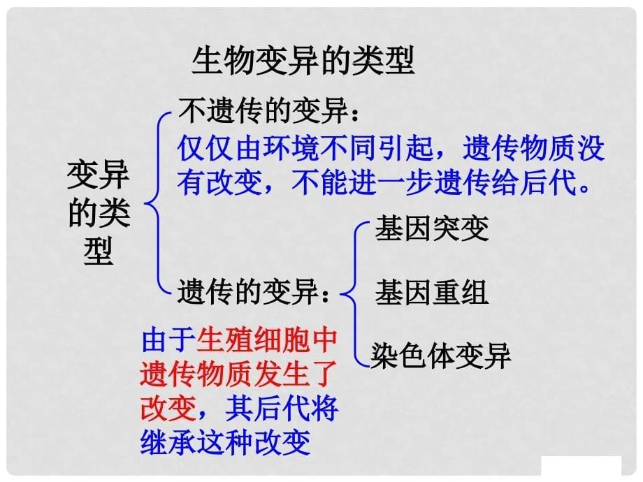 高中生物：基因突变和基因重组 备课课件（苏教版必修2）_第5页