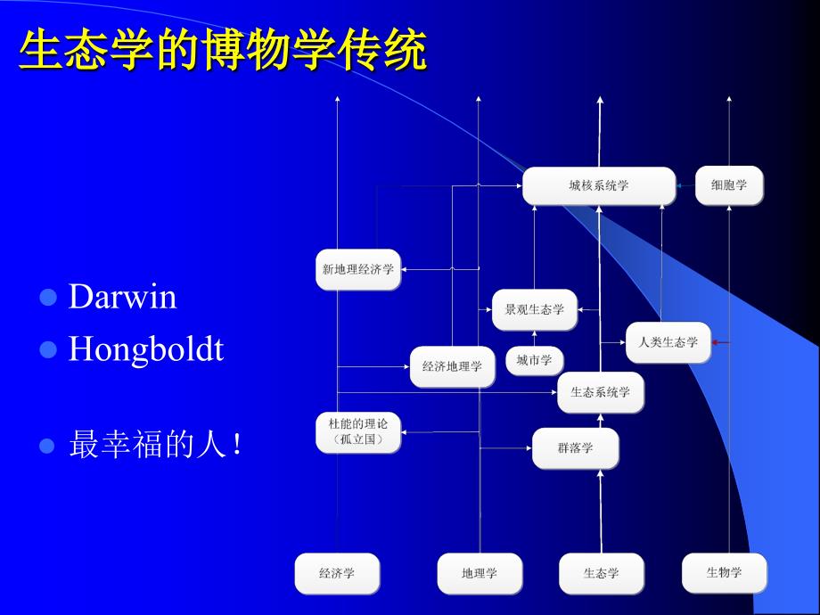 生态系统的结构_第2页