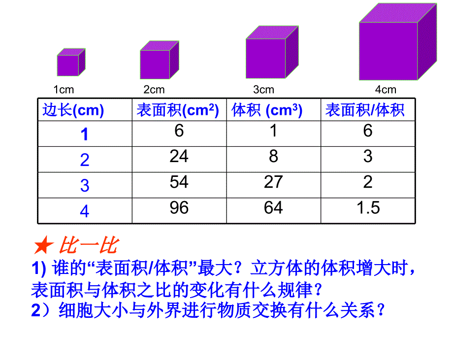 细胞的增殖（生命的历程）_第4页