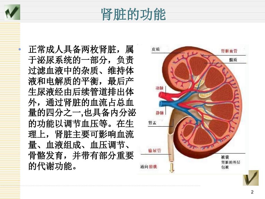 肝肾功能不全患者的镇痛治疗ppt课件_第2页