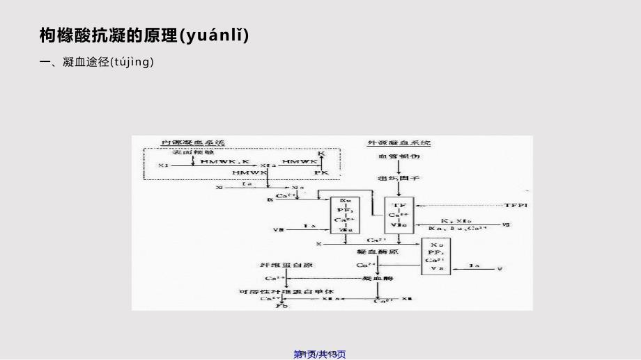 CRRT的枸橼酸抗凝实用教案_第1页