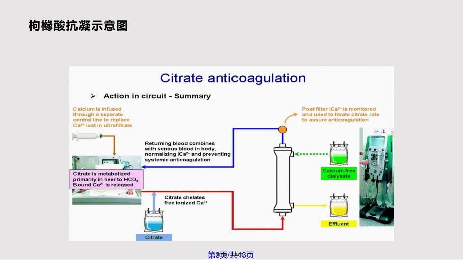 CRRT的枸橼酸抗凝实用教案_第3页