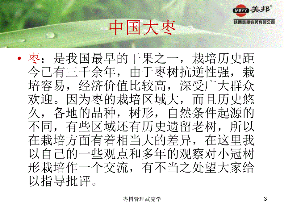 枣树管理武克学课件_第3页