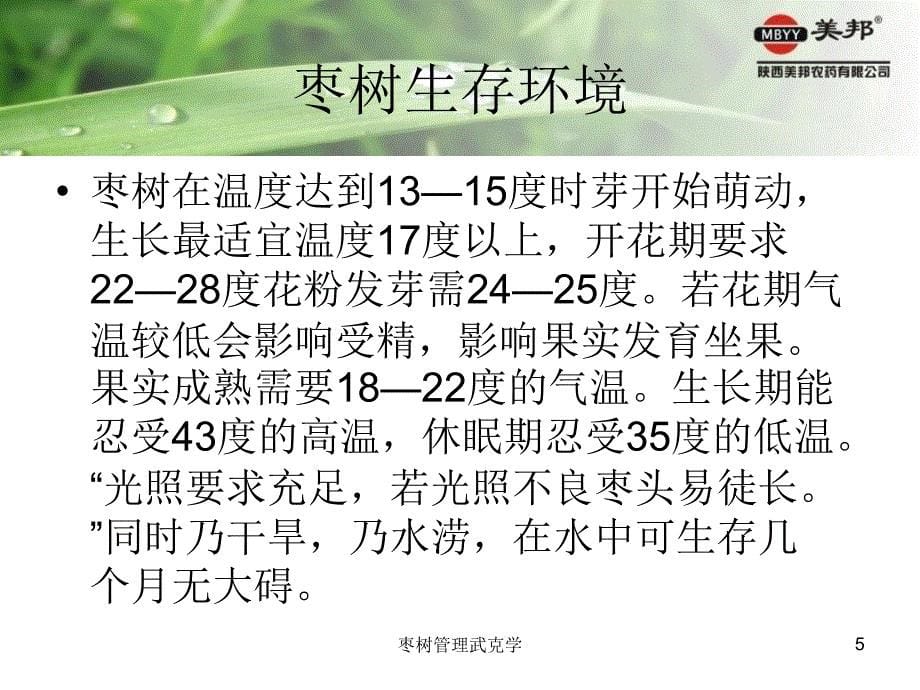 枣树管理武克学课件_第5页