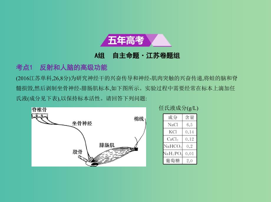 江苏专版2019版高考生物一轮复习专题18人和高等动物的神经调节课件.ppt_第2页