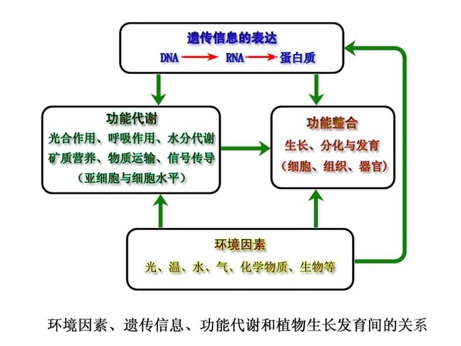 植物生理学绪论_第4页