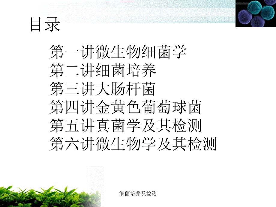 细菌培养及检测课件_第2页