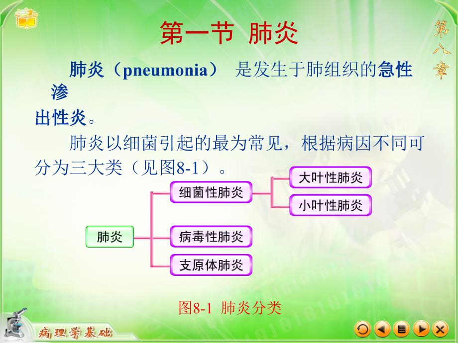 第八章呼吸系统疾病文档资料_第3页