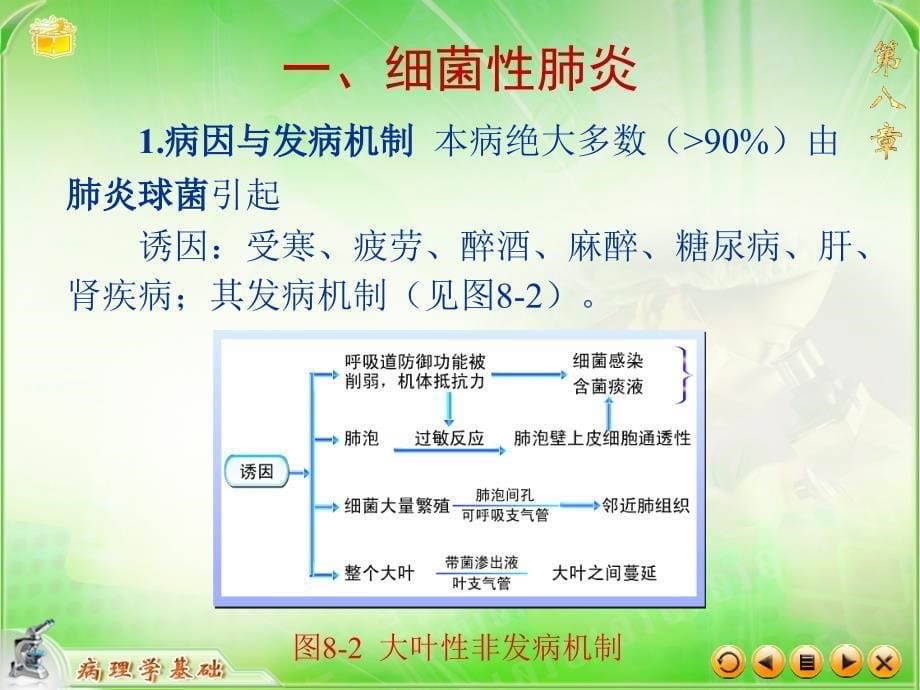 第八章呼吸系统疾病文档资料_第5页