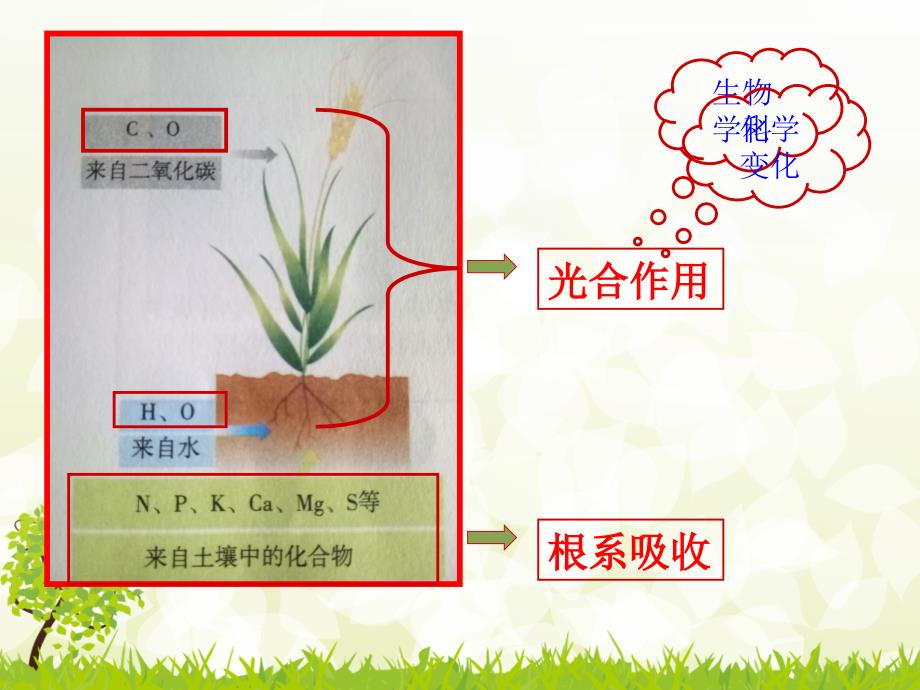 化学与农业生产_第3页