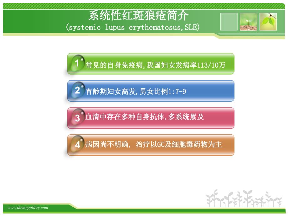 SLE诊治新进展概要.ppt_第2页